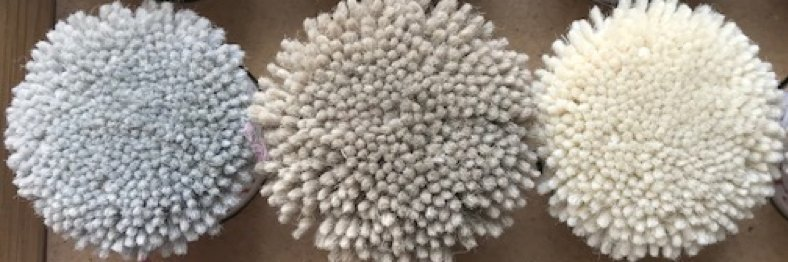 We're able to manufacture yarns to any absolutely any custom specification. Whether you want 100% wool, or a 50/50 wool/ #Polypropylene split, or even a mix of #wool, PP and #polyester. #YourCarpet #YourCall