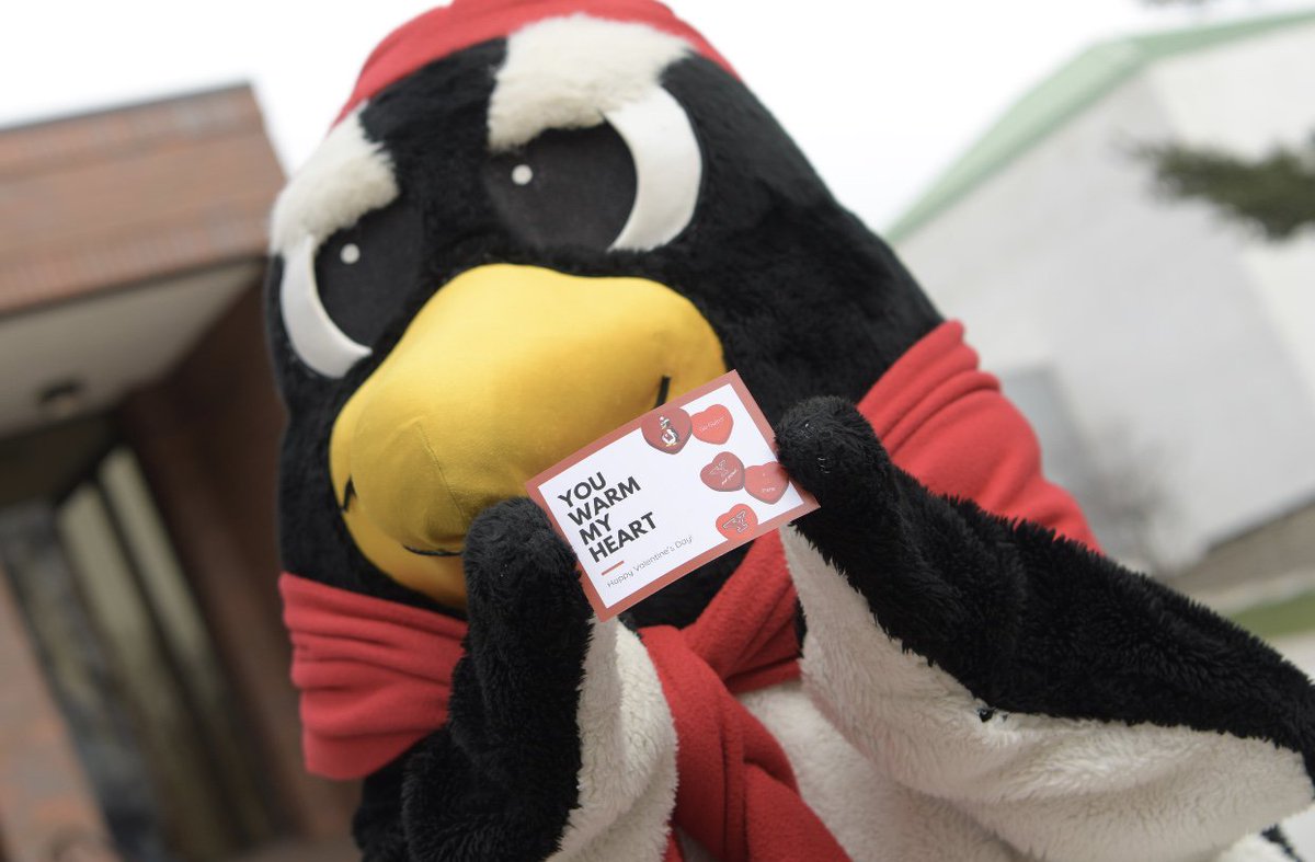 Youngstown State University tweet media
