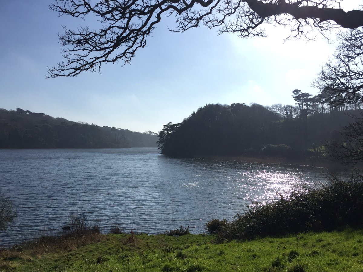 RebeccaLWills's tweet photo. Felt a bit like #spring at #LoePool this lunchtime! #Cornwall #Kernow #ansum! https://t.co/ECZ0e4NfrD
