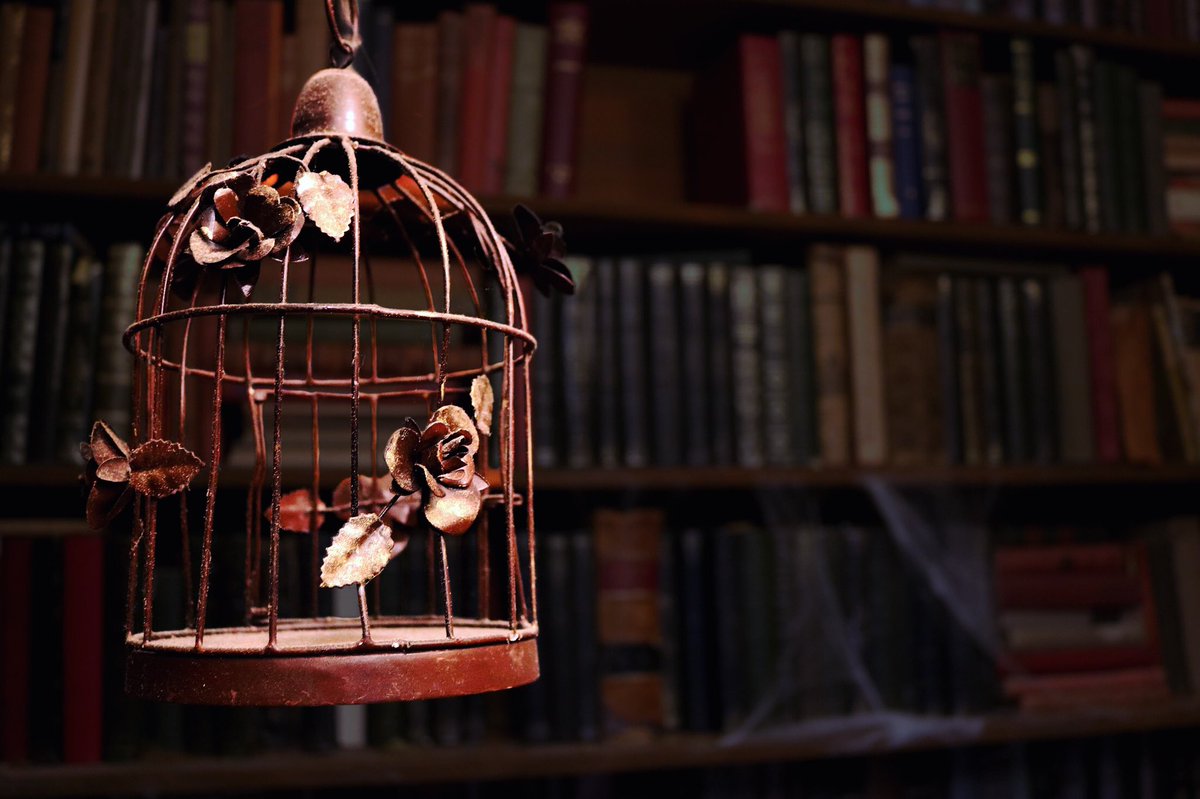 The Mugglers Inn tweet media