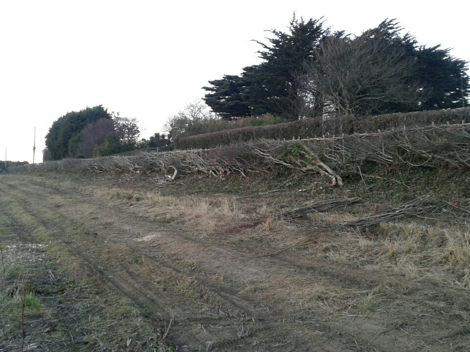 HIWWTConservation (@hiwwtconserve) on Twitter photo Completed hedge! All 310yds laid, staked and bound at St Lawrence Field. Woodland Apprentice team worked hard over the week picking up a load of new skills <a href="/HantsIWWildlife/">Hampshire & Isle of Wight Wildlife Trust</a> <a href="/downtothecoast/">Down to the Coast</a> Completed hedge! All 310yds laid, staked and bound at St Lawrence Field. Woodland Apprentice team worked hard over the week picking up a load of new skills <a href="/HantsIWWildlife/">Hampshire & Isle of Wight Wildlife Trust</a> <a href="/downtothecoast/">Down to the Coast</a>