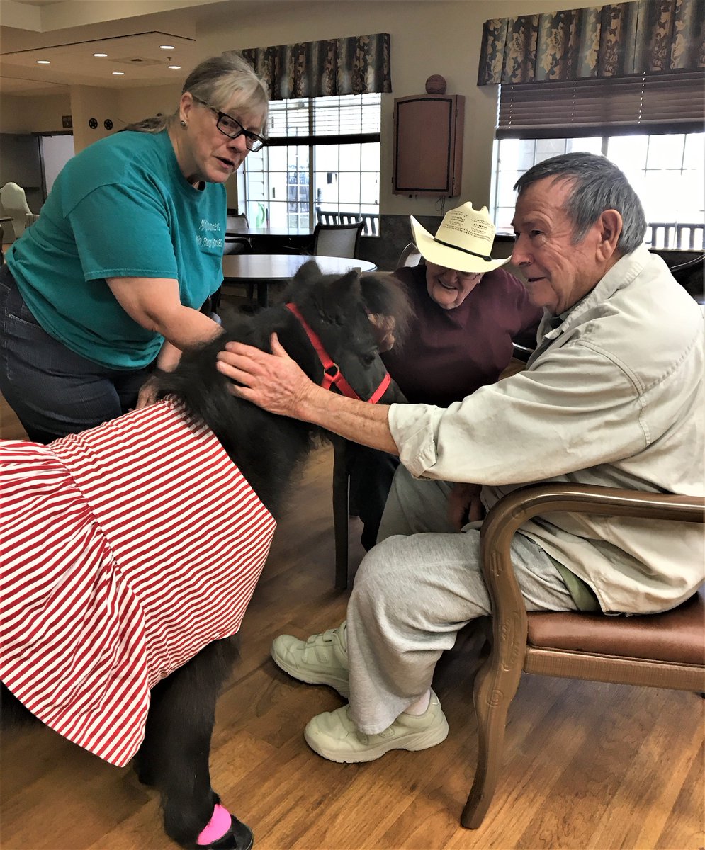 TexasVLB's tweet photo. Our Veterans at the Clyde W. Cosper #TXVeterans Home in #Bohnam had a GREAT visit with Jade from MiniEncounters Mini Therapy Horses. Having Jade come by brings them all so much joy. In fact, several #Veterans offered to allow Jade to be their new roommate🐴=❤️ https://t.co/gBMweVedIG