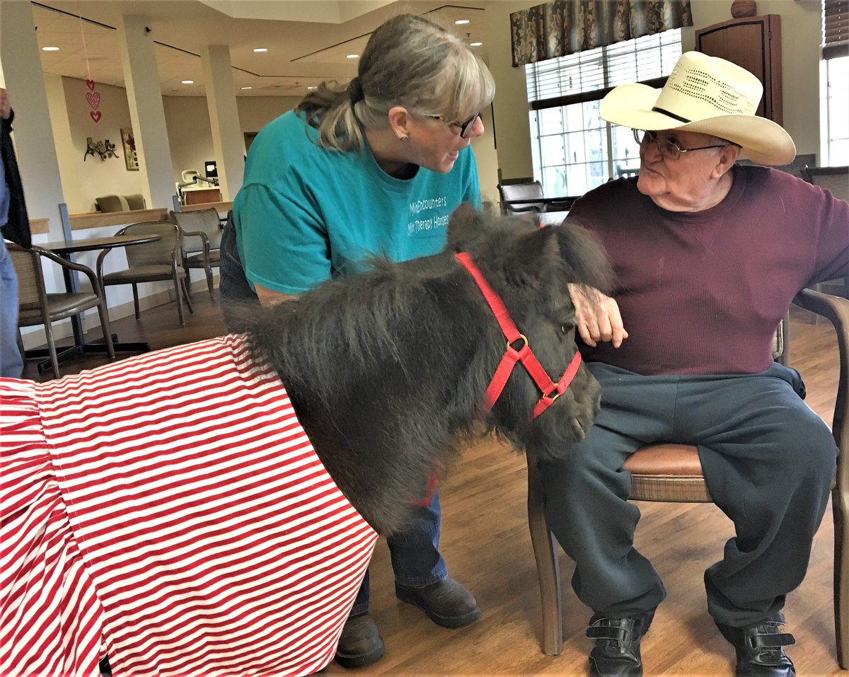 TexasVLB's tweet photo. Our Veterans at the Clyde W. Cosper #TXVeterans Home in #Bohnam had a GREAT visit with Jade from MiniEncounters Mini Therapy Horses. Having Jade come by brings them all so much joy. In fact, several #Veterans offered to allow Jade to be their new roommate🐴=❤️ https://t.co/gBMweVedIG