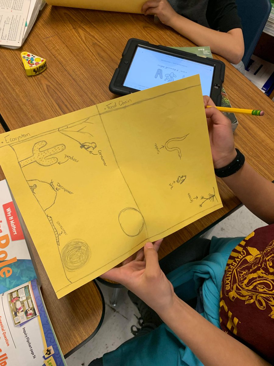 LessyMK's tweet photo. Ecosystems - Food chains https://t.co/rK3WaoalS6
