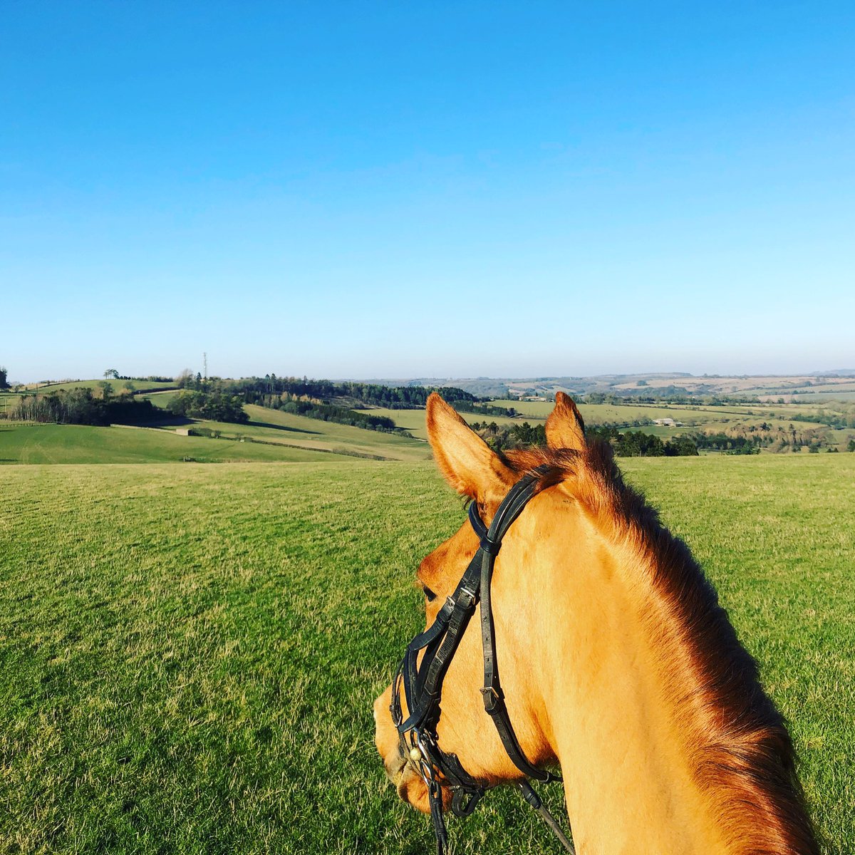 club_average's tweet photo. Anyone-else starting to get cautiously nervously excited for the start of the season and that we may have survived winter?!🙏🏻
Ponies had their first outing of the year ✅ nights slightly lighter, Mr S.Shine🌞 even making an appearance🙌🏻😬 https://t.co/nstbcx2LMv