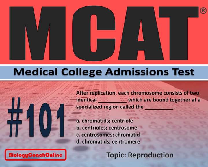 heybiologycoach's tweet image. The answer to Monday's #MCAT #Challenge was B: the cell replicates its genetic material during the S-stage of #interphase.  Did you answer correctly?

Can you answer today's challenge:

Facebook.com/biologycoachon…
#premed #medschool #medicalschool
#biologycoachonline