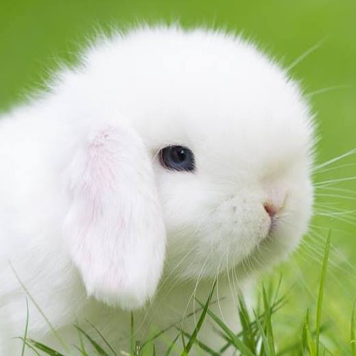 แน็ก🐰เลือกสักอย่างสิ tweet media