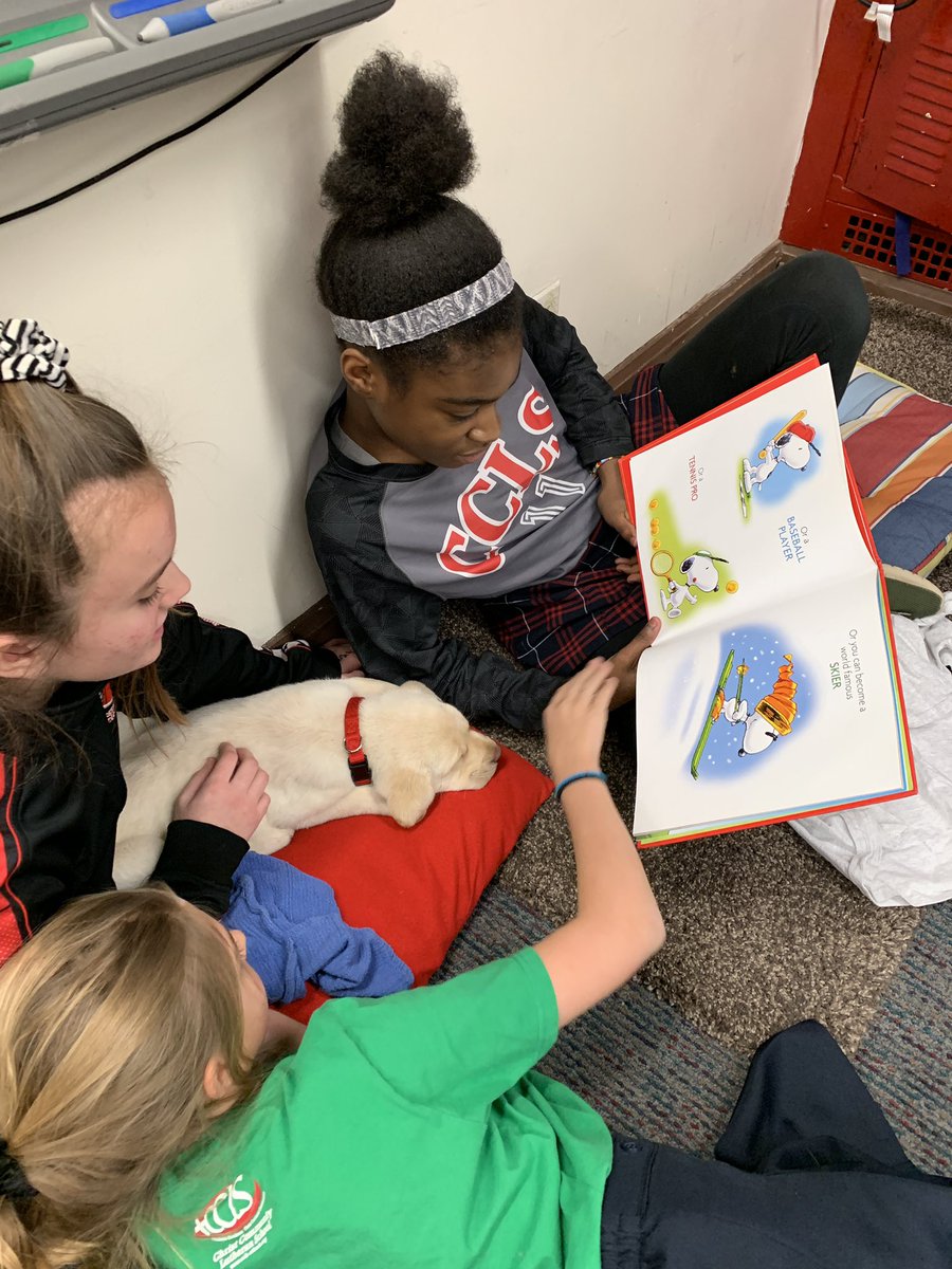 CCLSAlbers's tweet image. 6th grade English students reading the auction puppy an important book about Snoopy—encouraging him he can “be anything” (even adopted on Saturday at the auction!) @CCLSChargers