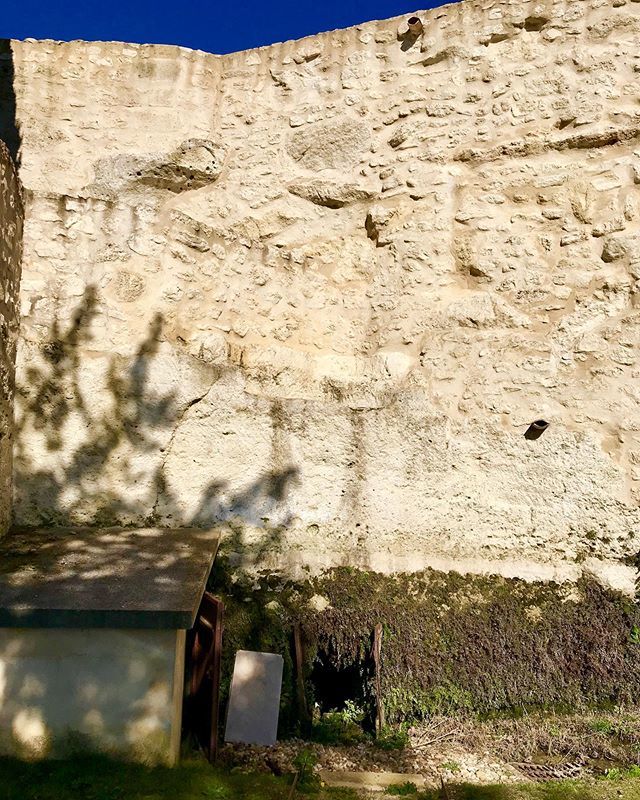 A #winedork post: this is a pic of the wall beneath Chateau Pavie’s vineyard, which lies on the top of this limestone plateau. You can see the layer of solid limestone that begins about halfway down. Here’s the fascinating part - beneath the limestone is… bit.ly/2GLqqm0