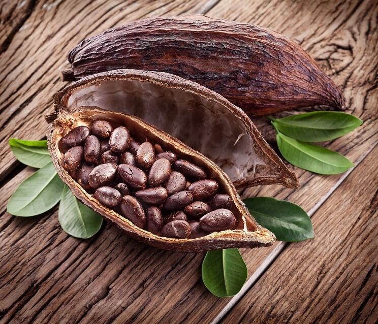 Agricultura_mex's tweet photo. Hoy te invitamos a conocer un poco más de la historia del cacao, un producto llegado a México, aproximadamente, entre el año 1800 y 1900 a.C.
https://t.co/d85IckQ0hW https://t.co/hlkWVEqPkJ