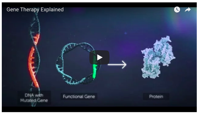 Progress is happening in finding a #GeneTherapy to treat or cure #CanavanDisease, one of 7,000 #RareDiseases that affect people worldwide. <a href="/msstaceyerin/">Stacey Johnson</a> blogs about a special Toronto family and their efforts to fundraise for research and awareness bit.ly/2SMxqWv