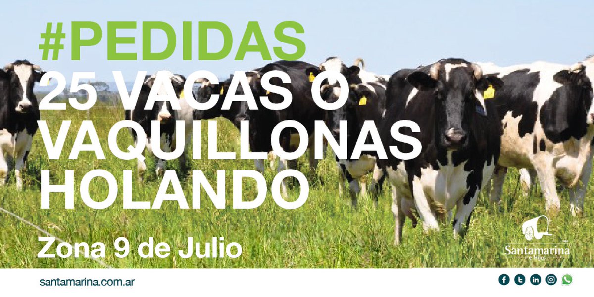 Santamehijos's tweet image. #Compramos vacas nuevas o vaquillonas, Holando, preñadas. Zona 9 de Julio, Buenos Aires. ¡Ofertas por privado!
santamarina.com.ar
