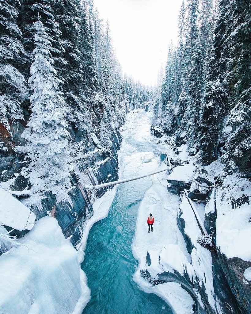 Kootenay National Park, Canada | Photo by Steve Tuchiwsky