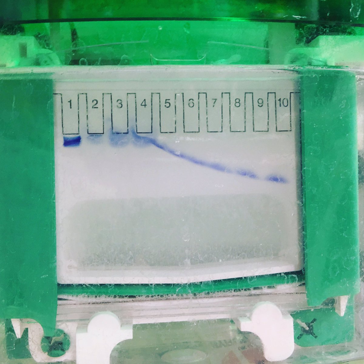 zeyzeygen's tweet image. I know not everyone will understand what is going on here but the message is “ whenever things dont go well, you learn something” science is great as it lets you try things and force yourself to understand”why”. Brain cells love this and me either. #Sciencelove #lifelonglearning