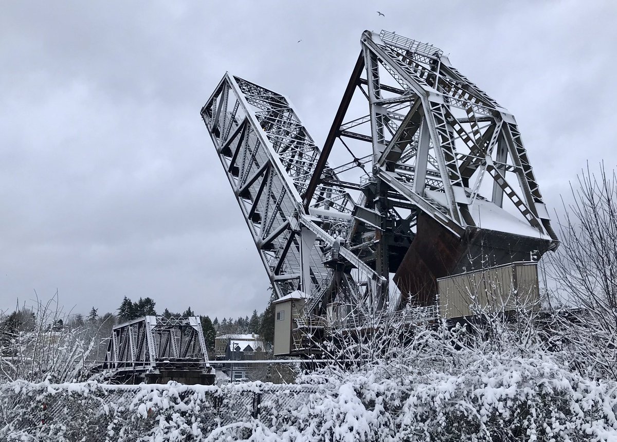 dhealey27's tweet image. It was pretty while it lasted! #Seattle #Snowmageddon