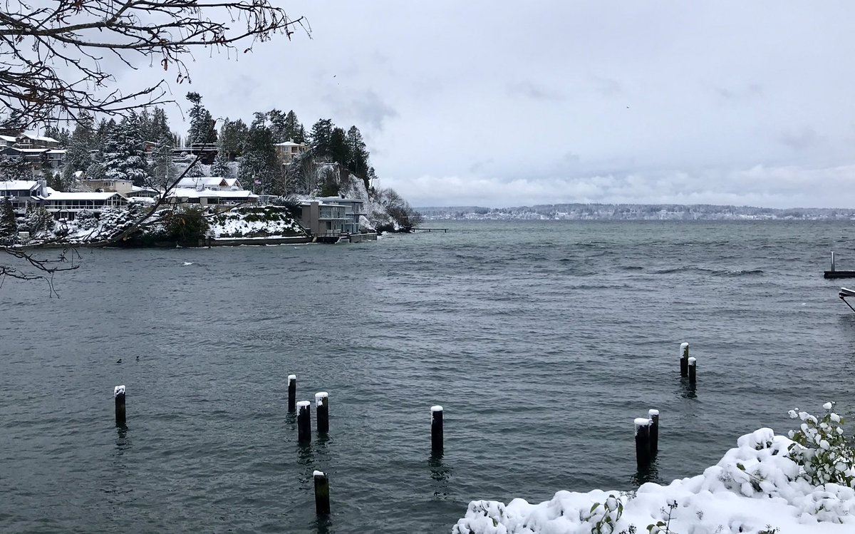 dhealey27's tweet image. It was pretty while it lasted! #Seattle #Snowmageddon