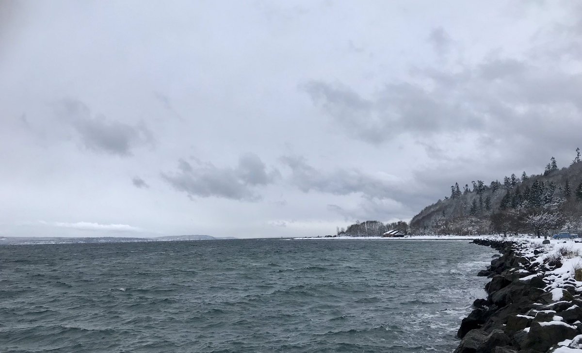 dhealey27's tweet image. It was pretty while it lasted! #Seattle #Snowmageddon