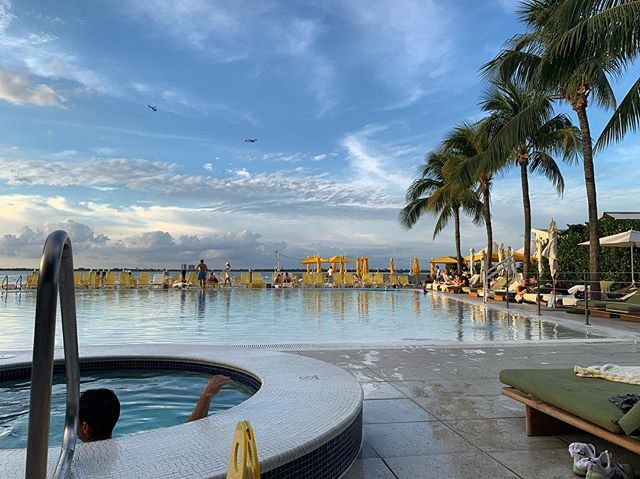 MichaelRealty's tweet image. Home sweet home #miami #miamibeach #thestandardmiami bit.ly/2DIMGdh