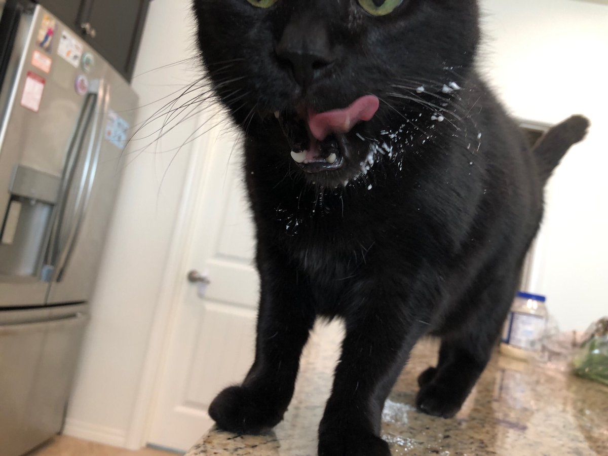 Makeupsmecrazy's tweet photo. @weirderseidr May or may not have licked a whipped cream container for a second https://t.co/JGi8ZDYVso
