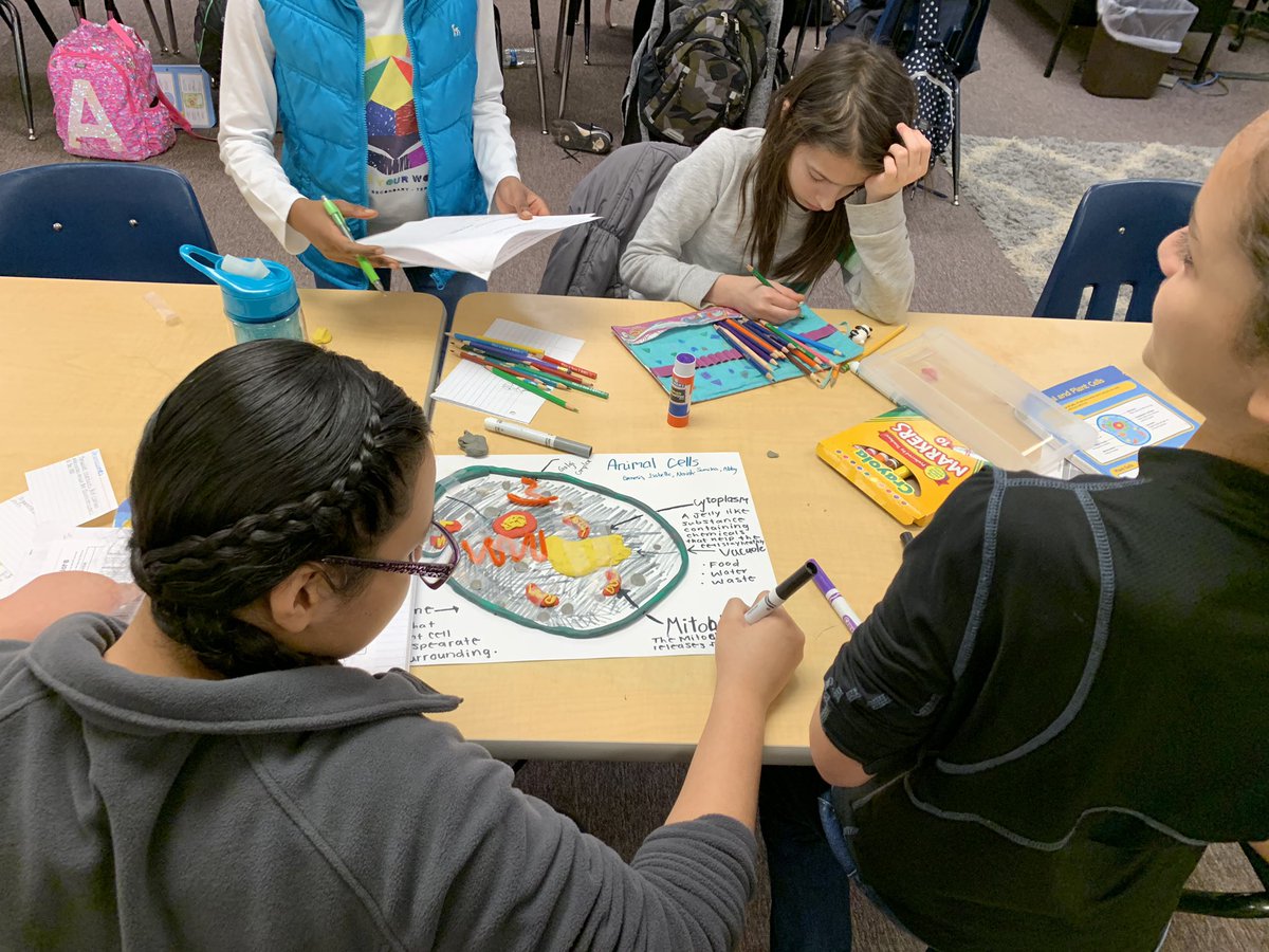 MrsRoberts_22's tweet image. Super proud of these @bakerelembears for their hard work during today’s STEM challenge. #JourneytoAWE #cellmodel #teamwork
