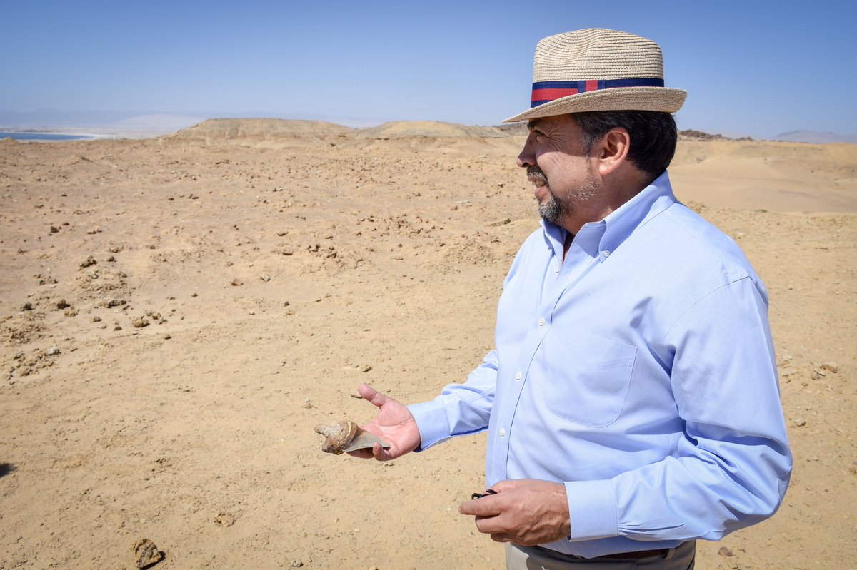 FSanchezAtacama's tweet photo. Junto a Pablo, Maurice, José, Romina y Marcela vivimos una gran experiencia en el Parque Paleontológico Los Dedos. Tenemos fósiles que son un tesoro a nivel mundial para la ciencia, la educación y para diversificar la matriz productiva como nos ha pedido el Pdte. @sebastianpinera https://t.co/2TnmqH3Mvd