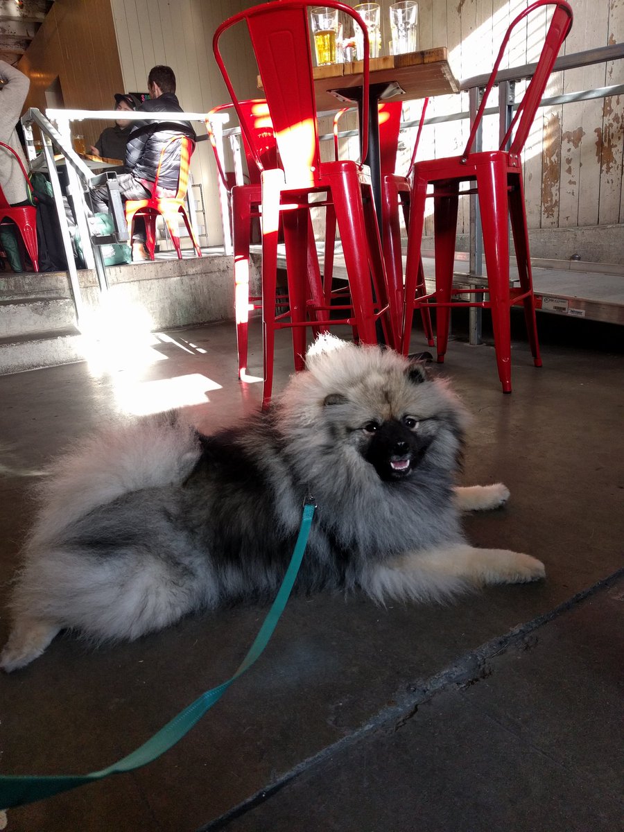 MrsRateBeer's tweet image. Mooi likes Cloudburst Brewing!