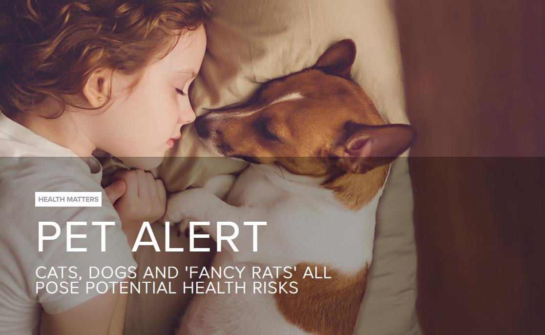 WaveHealthMag's tweet photo. Pet Alert: Cats, dogs and "fancy rats" all pose potential #health risks. Learn more at https://t.co/BuPmEym19T https://t.co/gRD9BOMLwx