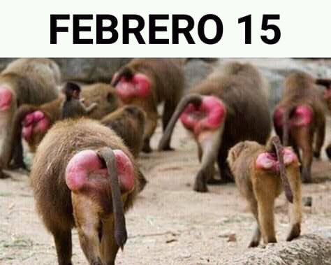 HalJordanGL2's tweet image. 