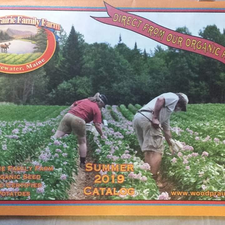 rosesreviews's tweet photo. Just what is needed on days like these!
#woodprairiefamilyfarm #organicfarming
#thinkspring #tomatoes #radish #beans
#cabbage #cauliflower #carrots #corn
#cucumbers #squas #herbs #basil
#thyme #sage #parsley #potato #spinach
#lettuce #peas #peppers #gardening
#gardens https://t.co/SLCrtrbc0U