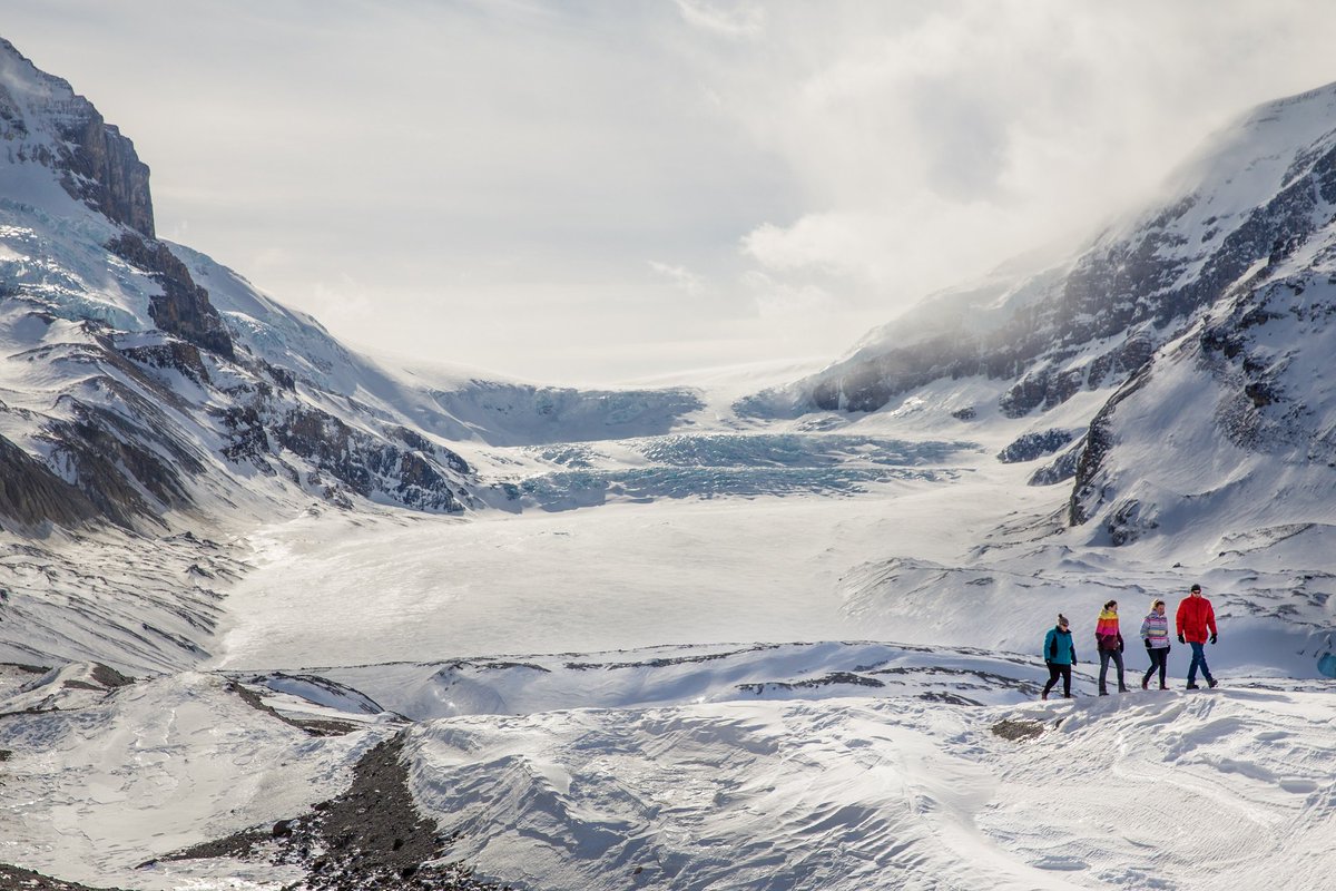 JasperNP's tweet photo. This weekend is the perfect time to wander and adventure with your family and friends. Free snowshoe programs and much more are offered for Family Day long-weekend. Join us! https://t.co/XbQe2NDgy7
📍  Columbia Icefields 🌄 https://t.co/1XvQ8TrZ9W