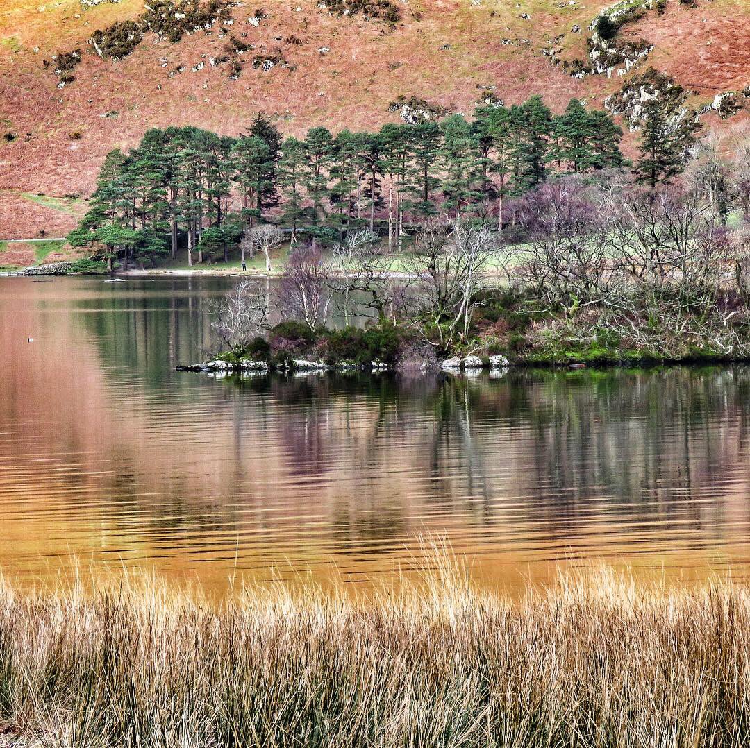 oldcrofthouse's tweet photo. It’s time to shake off those winter blues
#everydayfeelslikefriday #fridayfeeling #feelslikespring #haveapaddle #wildswimming #putaspringinyourstep @VisitCumbria #theplacetobe #adventuredays #bedandbreakfast #kirkbystephen #cumbria #crummockwater #lakedistrict @nationaltrust https://t.co/iCnpigl1Nr