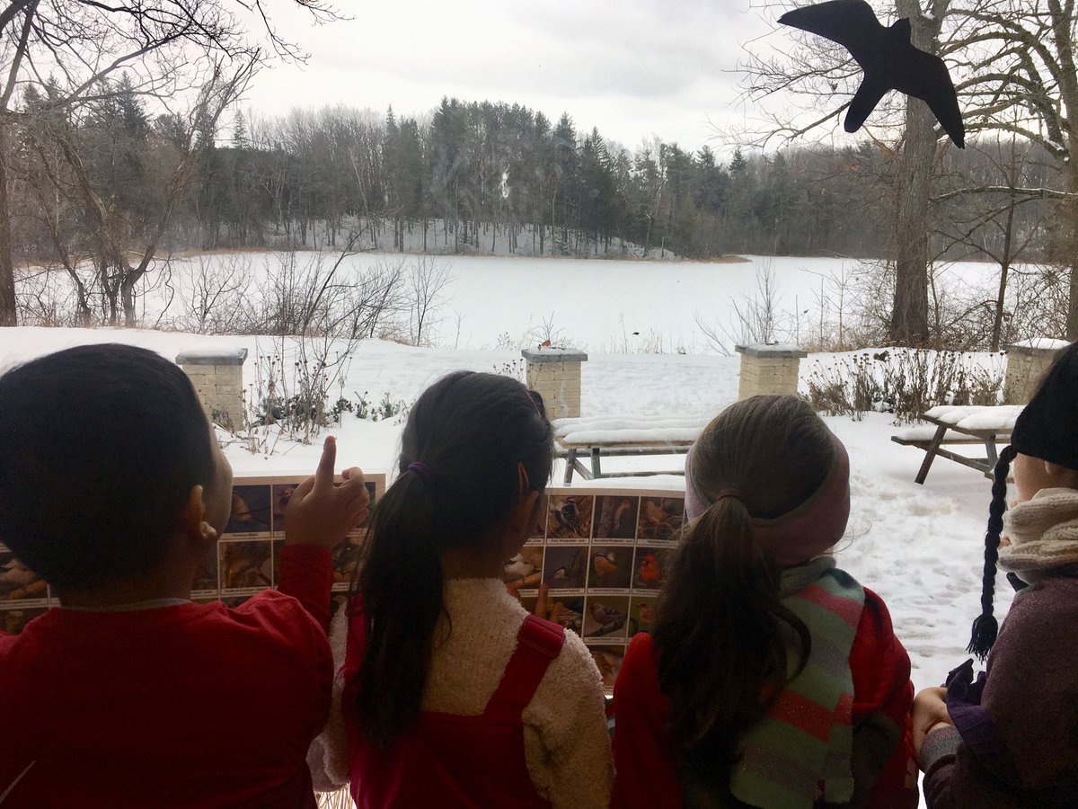 SwanLakeOE's tweet photo. Our birds were rather uncooperative today for the #GreatBackyardBirdCount but our students did their best to ID the ones that arrived at the feeders! #yrdsboutside #inquirylearning @YRDSBEcoSchools https://t.co/G9zv6sjw5l