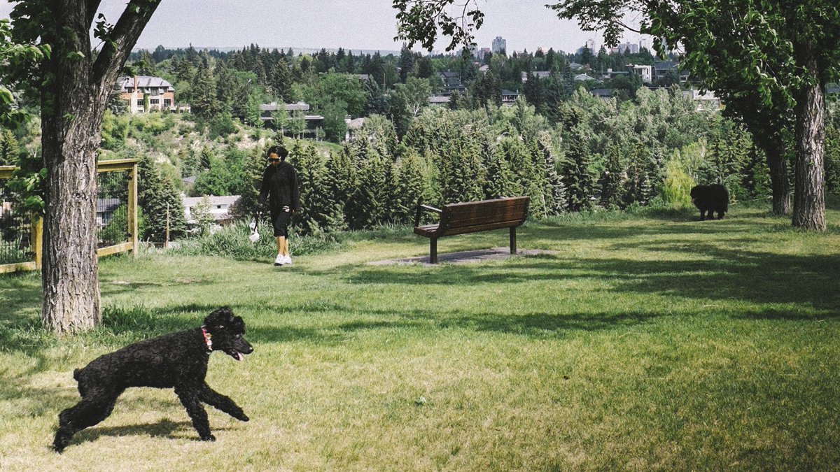 RedPoint Media tweet media