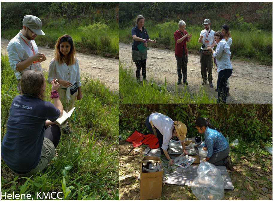 I enjoyed the day spent with the group 3 #KewQMLUMSc, <a href="/vorontsovams/">vorontsovams</a> and @TeamKMCC, I had the opportunity for learning grasses in #Mantadia_Andasibe #Madagascar