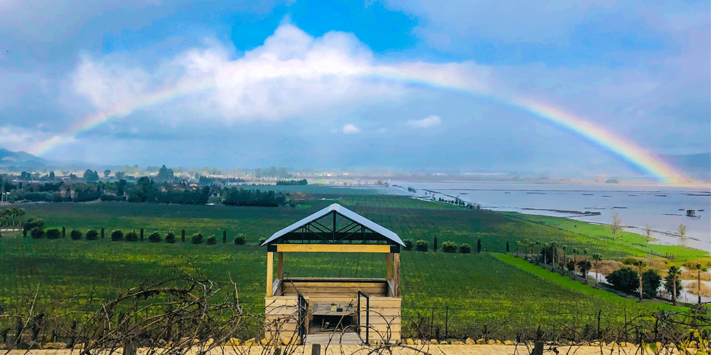 Today's forecast: Cloudy with a chance of rainbows