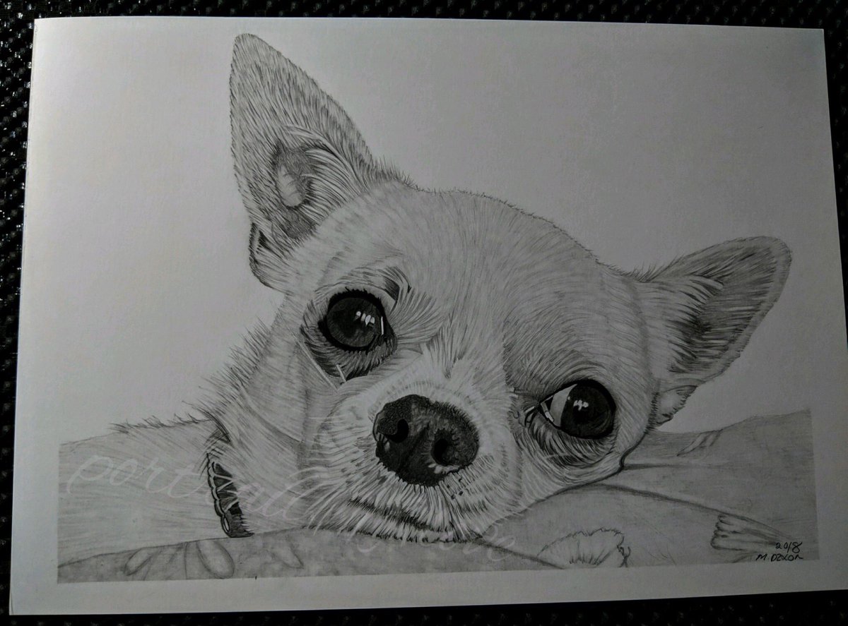 DiDi ( POLart) (@didi83178099) on Twitter photo 