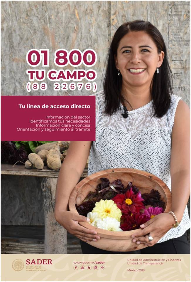 Contacto Ciudadano de la Unidad de Transparencia, pone a disposición la linea de atención telefónica para quien solicita información de los programas, trámites y servicios que oferta la SADER 01 800 TU CAMPO (88 22676)