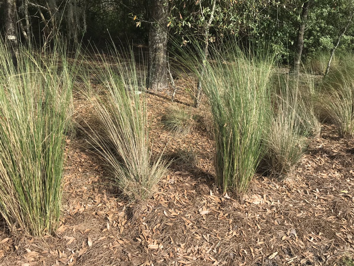 Nufarm_Florida's tweet photo. Suncoast Classic at Lakewood National CC. Jaime and crew have the place fantastic! Sureguard hard at work in the grass beds. https://t.co/sYCtlVUWoN