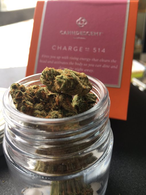 OMG these nugs are banging my MOM!! #Sativa #Hollywood #TheKindCenter is 🔥 plus the Customer appreciation<a href="/tag/sativa"class="tags">#Sativa</a><a href="/tag/hollywood"class="tags">#Hollywood</a><a href="/tag/thekindcenter"class="tags"><span>#thekindcenter</span></a>