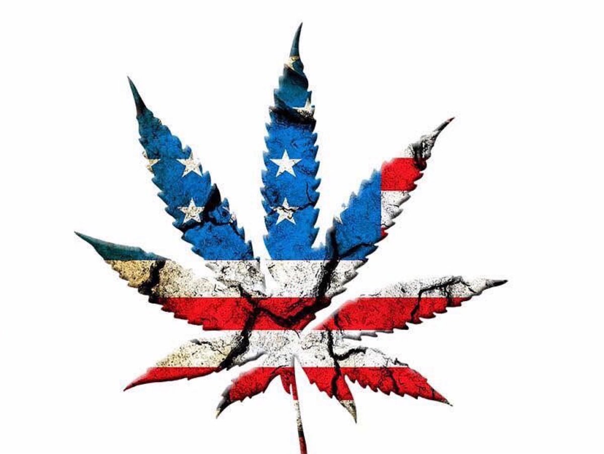 hemplotus's tweet image. Weed isn't bad...society just made you think it was bad.

#hemp #marijuana #cbd #thc #weed #cannabis #cbdfacts #hemplotus #ganja #medicalmarijuana #edibles #instaweed #highthoughts #kush #stonedthoughts #hippie #alternativehealing #maryjane 🌱