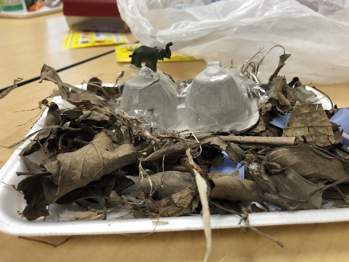 MrsMaysK's tweet photo. We used solid shapes and items found in nature to make animal habitats! @FerndaleEarlyEd #AACPSAwesome #NoWorksheetsNoProblem https://t.co/Nqq9OtkMuW