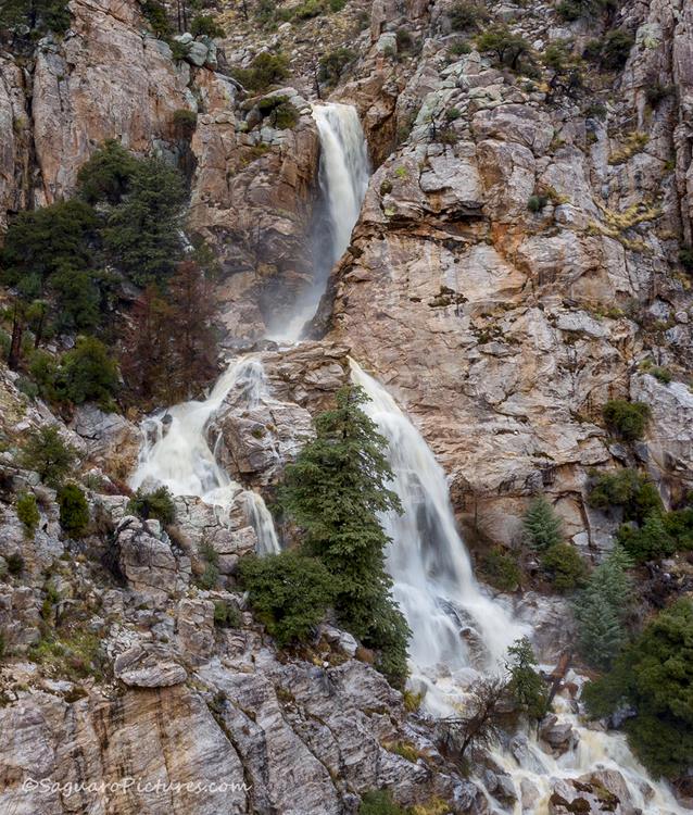 Lots of rain creating waterfalls all over Mt Lemmon (thx to Greg McCown @saguaropictures) Tucson News Now