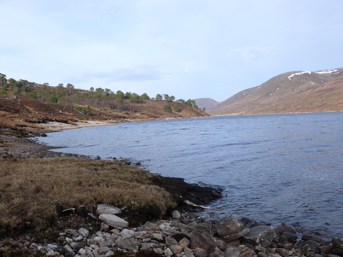 paulinedaniels's tweet photo. On our adventures today in the highlands of Scotland... #scotland #scottishhighlands #strathvaich https://t.co/SlzvcXodDV