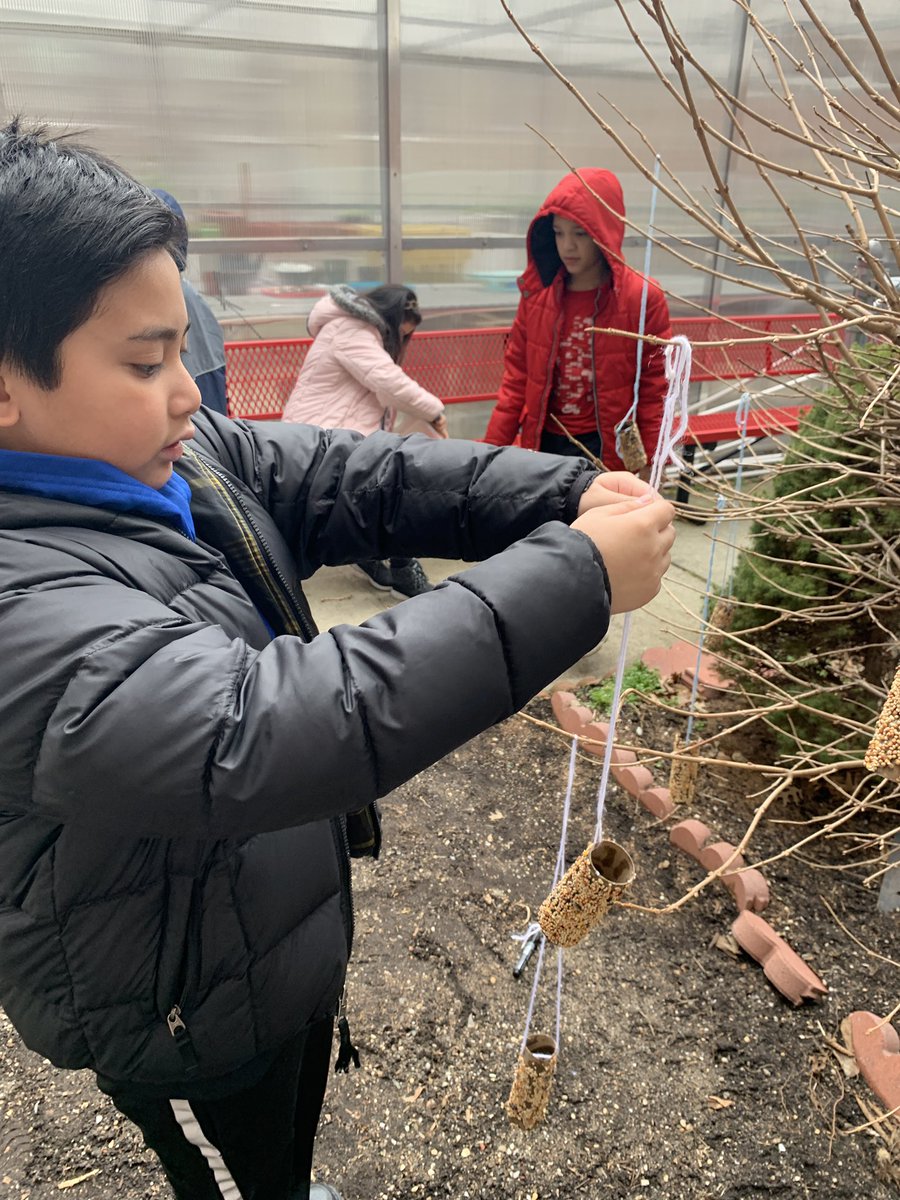 MsOConnell16's tweet photo. Keeping up with our #news2you current events: feb is national bird feeder month! After our current events comprehension review we had hands on learning and connected to our peacekeepers “helping others” theme for the month @MineolaUFSD #MineolaProud https://t.co/p8kzTArh4j