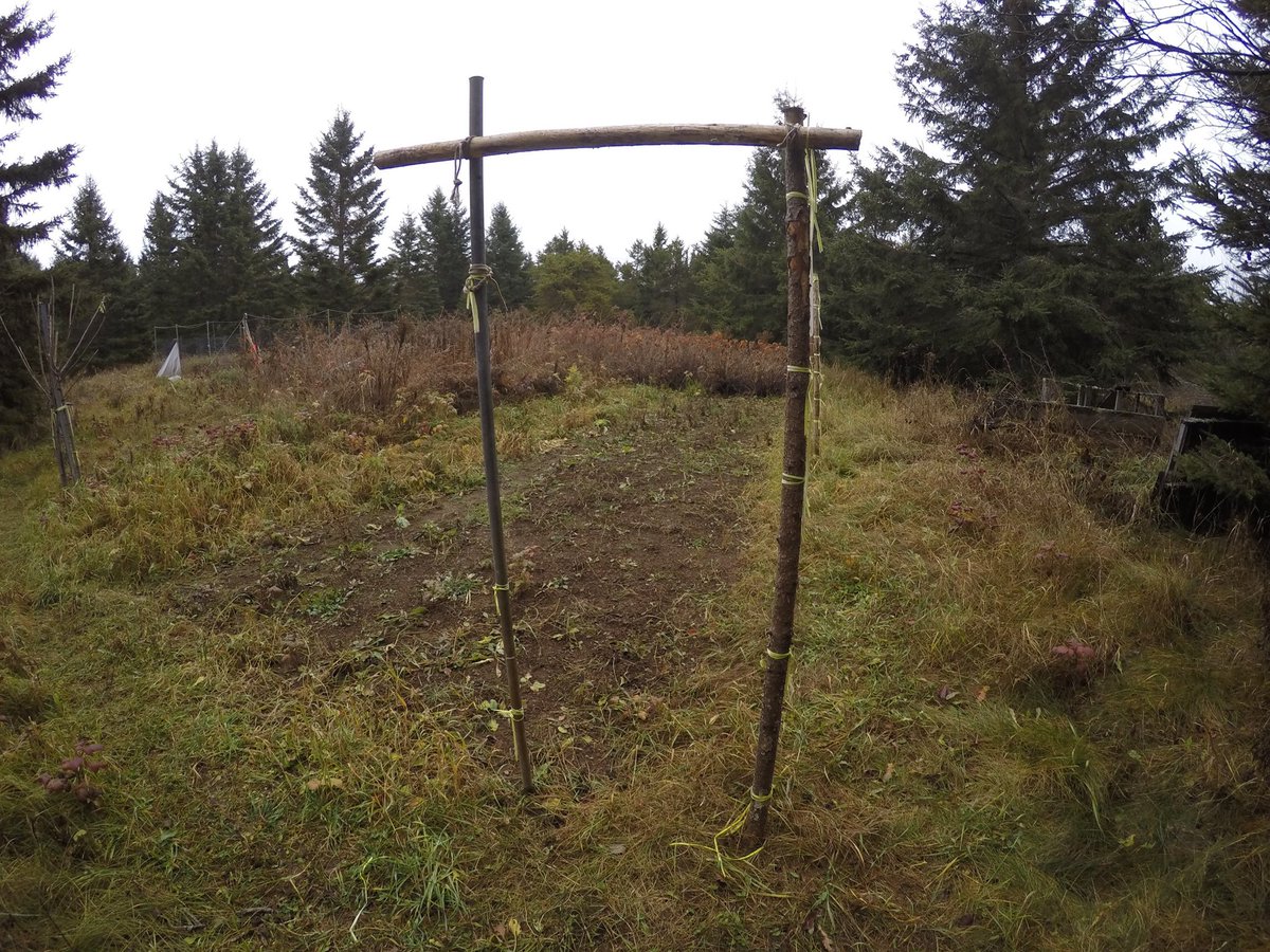 ColorTVMan's tweet image. I want to put my free bunkie here #bunkielife