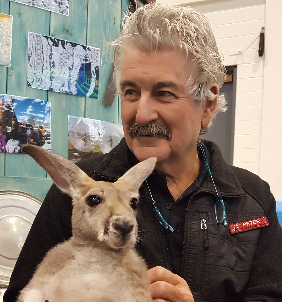stgeorgeshow's tweet photo. Two Aussies that can be found in Calgary:  Ruby the red kangaroo @calgarycornmaze and PeterO, our fearless leader  @stgeorgeshow 
#CCTC2019 #CCTCA2019 #Australia #yyc #cobbsadventurepark #kangaroopettingzoo https://t.co/5kGEj9yVQD