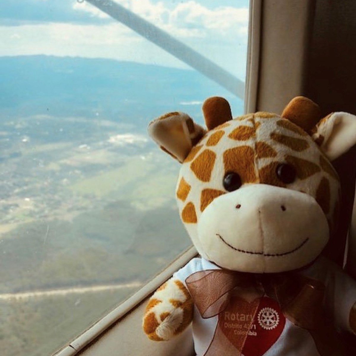 Rotary's tweet photo. Cuddly stuffed animals like Ana the giraffe from #ElZooDelAmor (The Zoo of Love) bring joy to children in hospitals.🦒Created by #Rotary member Sonia Uribe, the campaign originated in Colombia to bring awareness of #spinabifida. https://t.co/5z7jgM8aWS 📸: chiurbanite on IG. https://t.co/QVdHS9AtDa