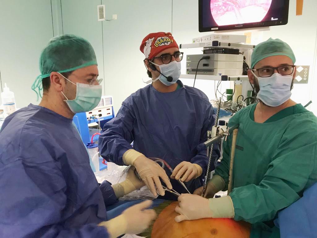 ScanlanInc's tweet photo. Scanlan VATS Instruments in the hands of Gifted Surgeons in Valencia, Spain-
   #VATS  #Subxiphoid surgery @dgonzalezrivas 
    https://t.co/WpxnFtE2Zo … https://t.co/KItZKwAZfg