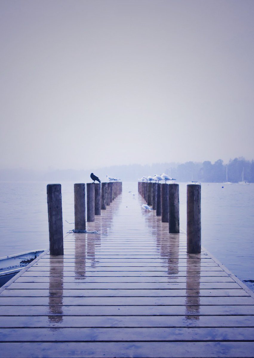 CarolineNolan's tweet photo. Taken on a cold rainy day in the Lake District. Welcome to Windermere! @BBCEngland #englandsbigpicture https://t.co/xQ086goNbL