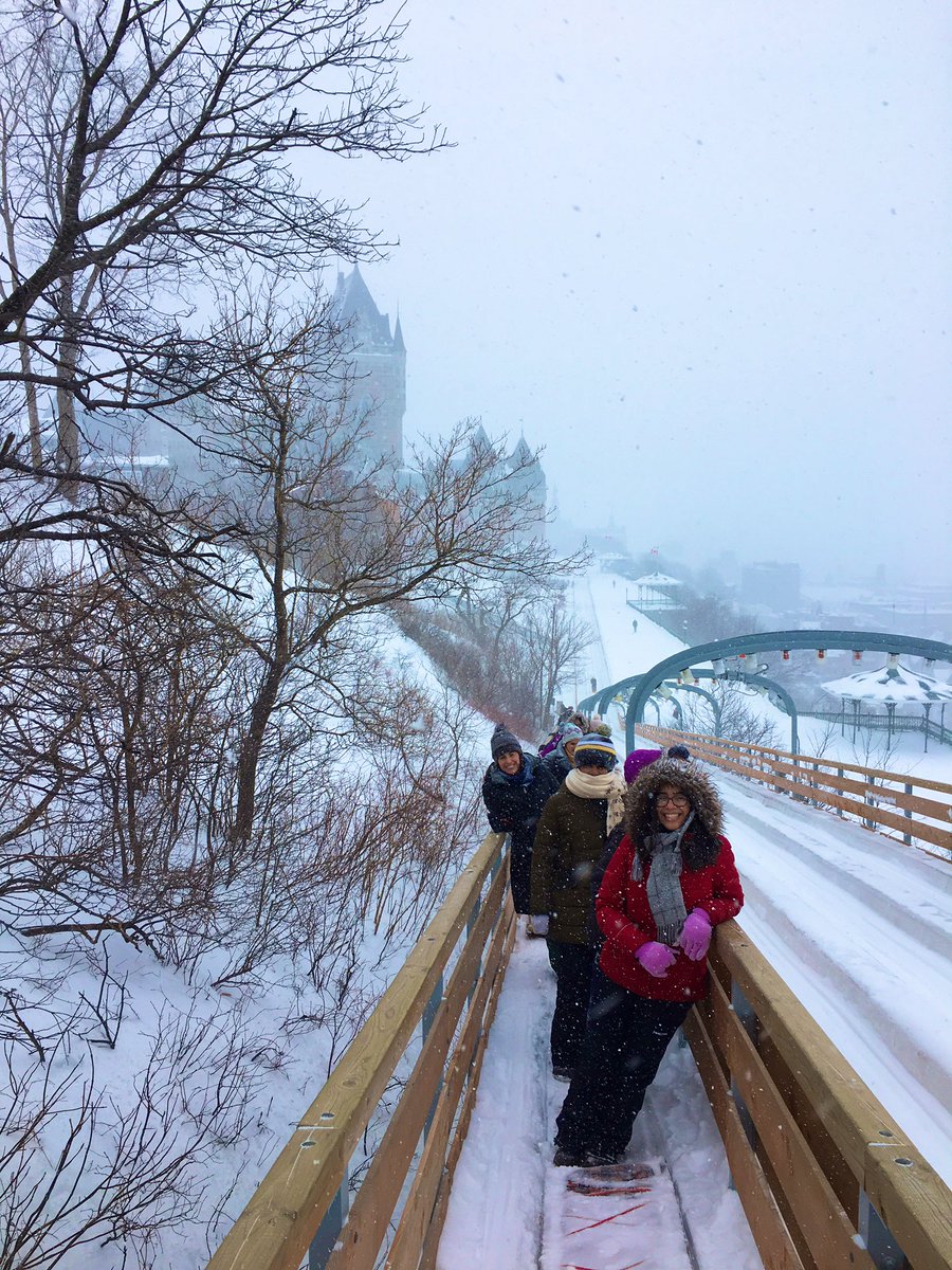 ProfAndersonGA's tweet image. Casually the most photogenic group on the toboggan slopes. ✨🇨🇦 #GAinQuebec